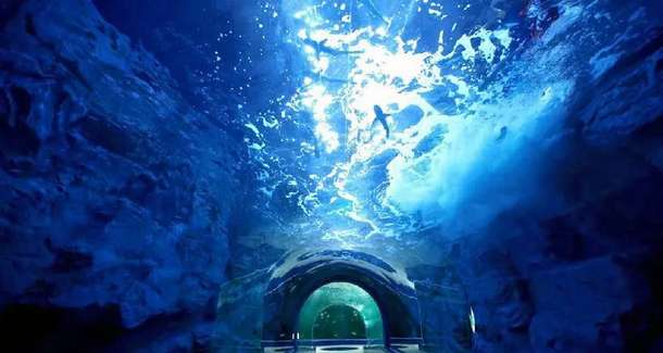 85oumss0esvk8ypkaxw8ge5wkm81 1597352276 222