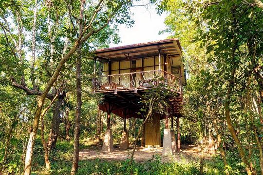 Kanha Jungle Camp Image