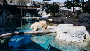 Sea World Tickets, Gold Coast