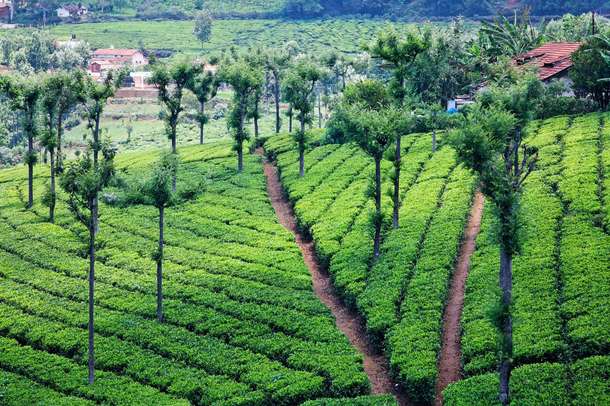 87md8ma6jh58u5chrvy6o5rcz884 dl.beatsnoop.com jwzklb9rmi