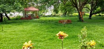 88e5rygfak9t7n1vo2yepio96pla 1584367684 shutterstock 1437741227