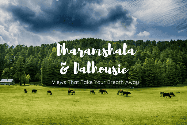 88ih68cnvdmk7mitr12yqppc2evp 20210803 125352 0000