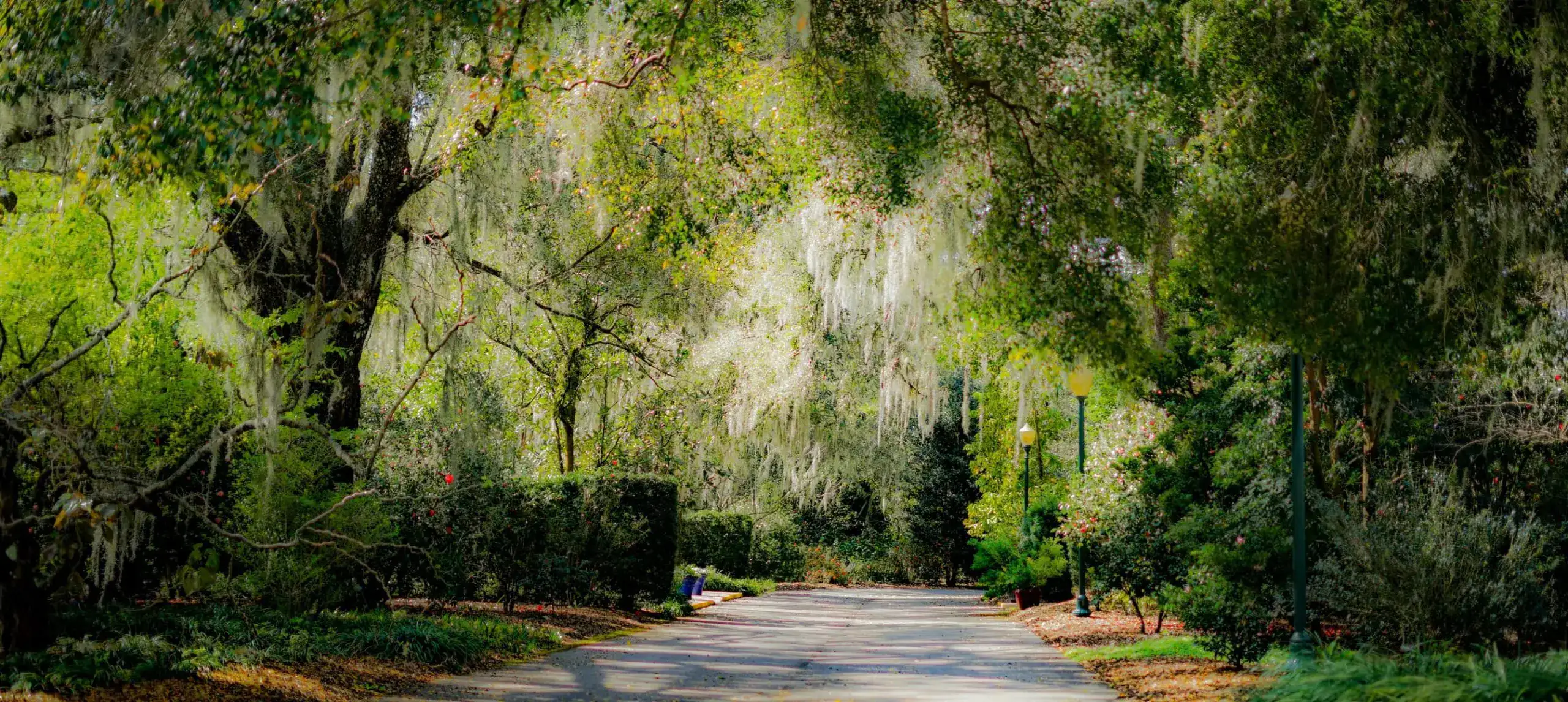 Harry P Leu Gardens Tickets Image