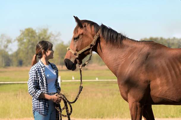 88ziid55rkkqroeod6kn1sojr30u 7xm681a412311d60