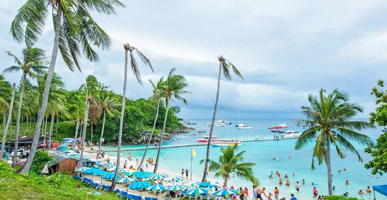 Racha Island Diving Image