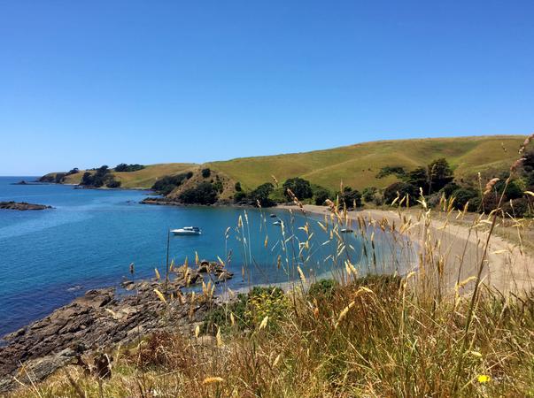 Motutapu Island