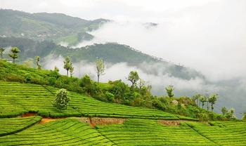 8bqv8w3ivsqoqxruhy7oh1j5sn08 1554305763 coonoor irctc cover.jpg