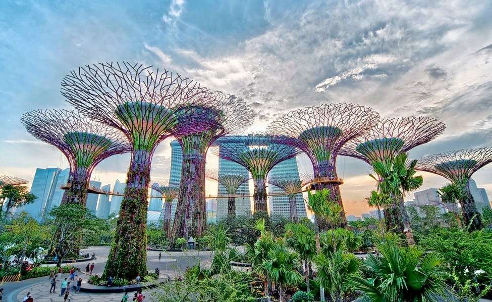 See the Supertree Grove covered by different plant species