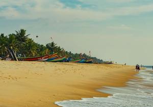 8csy735nui4lr9i7guzxah2a5hjb steptodown.com677261