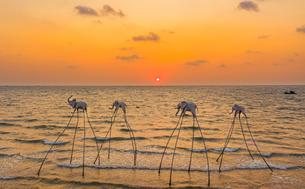 Phu Quoc South Island Tour