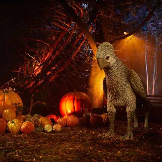 Harry Potter - A Forbidden Forest Experience Tickets Image