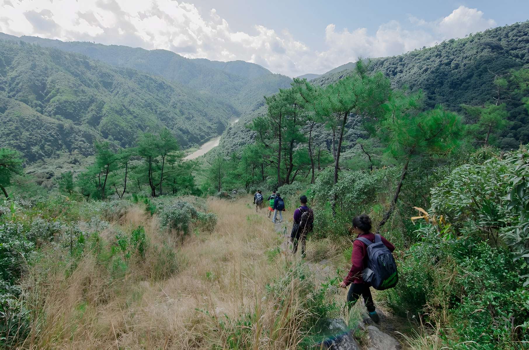 Hike to Nohkalikai Peak Image