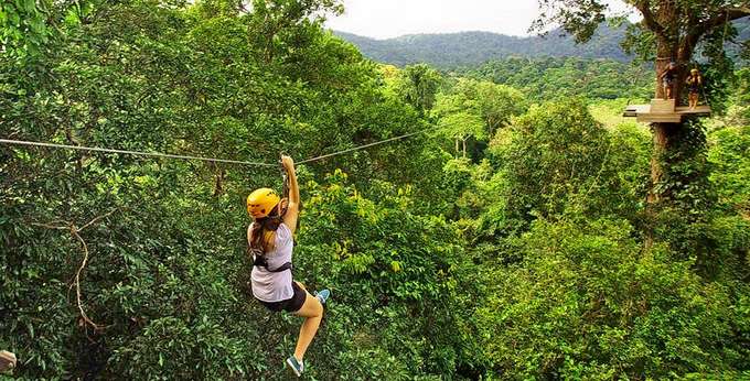 Zipline through the lush green surroundings