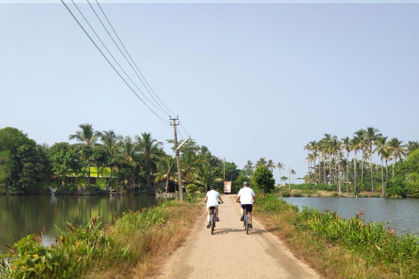 Explore the vibrant streets of Fort Kochi on a thrilling eBike tour