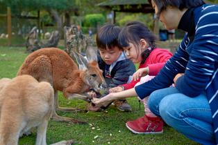 Cleland Conservation Park