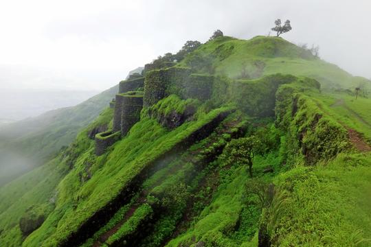 Rajgad Trek Image