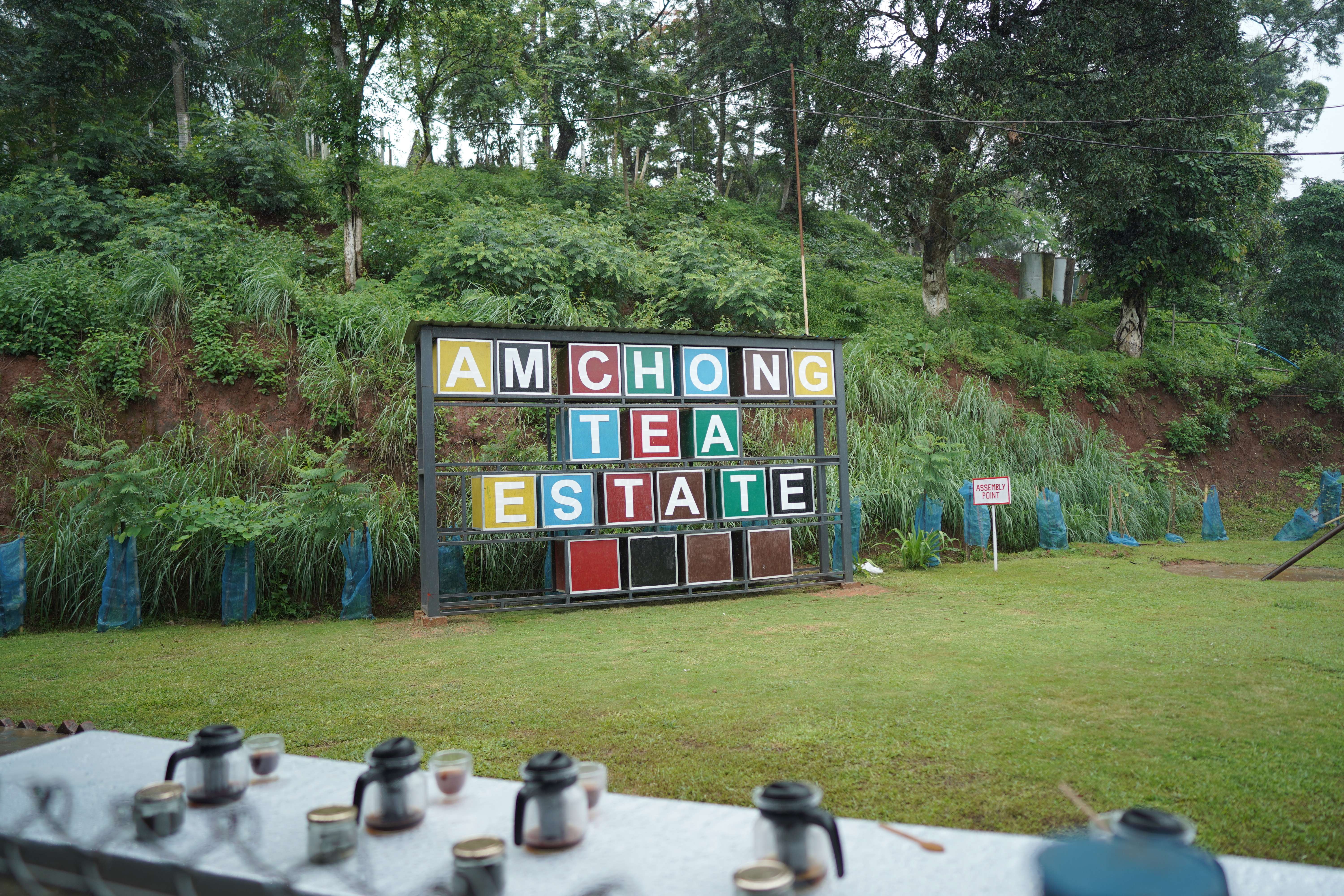 Taste Masala, Orthodox, CTC, Rose, and Green tea, all made on-site