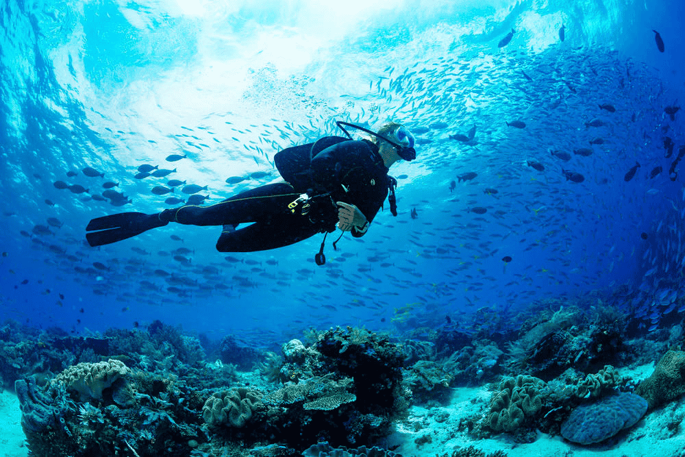Grand Island Goa Scuba Diving with Water Sports Activities Image