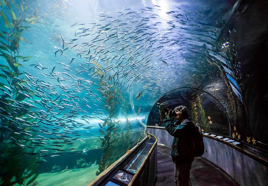 Underwater World Pattaya Tickets Image