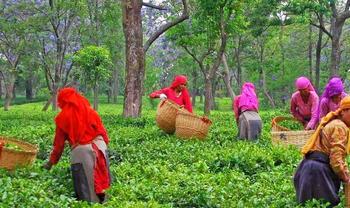 8jnmmfkg0xl5p9fjn91c4xxc73x8 1571214671 1526387252 5.jpg