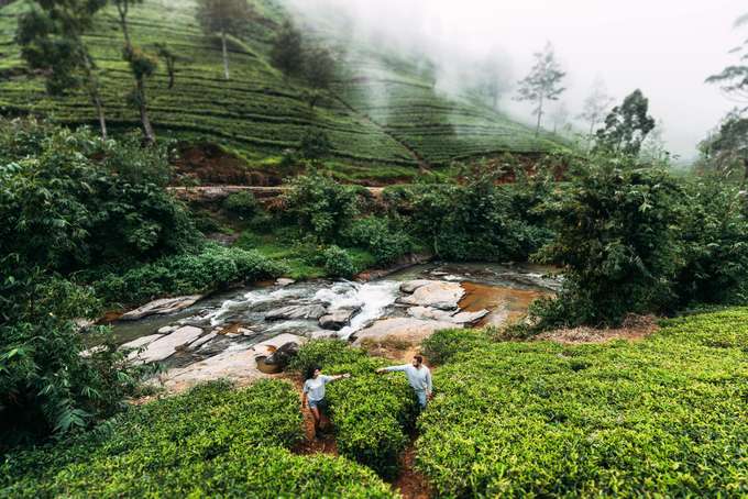 Couple posing for a photo amidst tea estates in Munnar