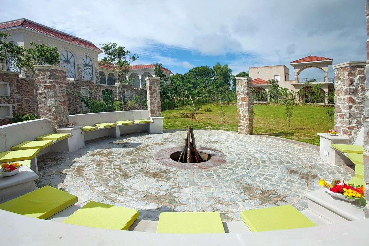 Tree of Life Ranthambore Image