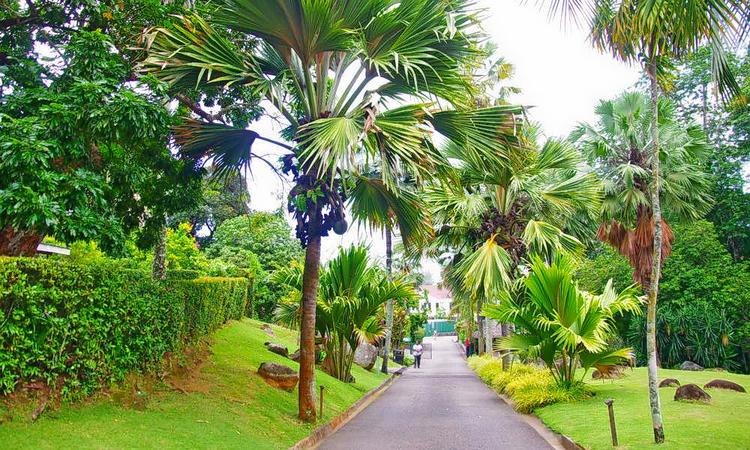 Seychelles National Botanical Gardens
