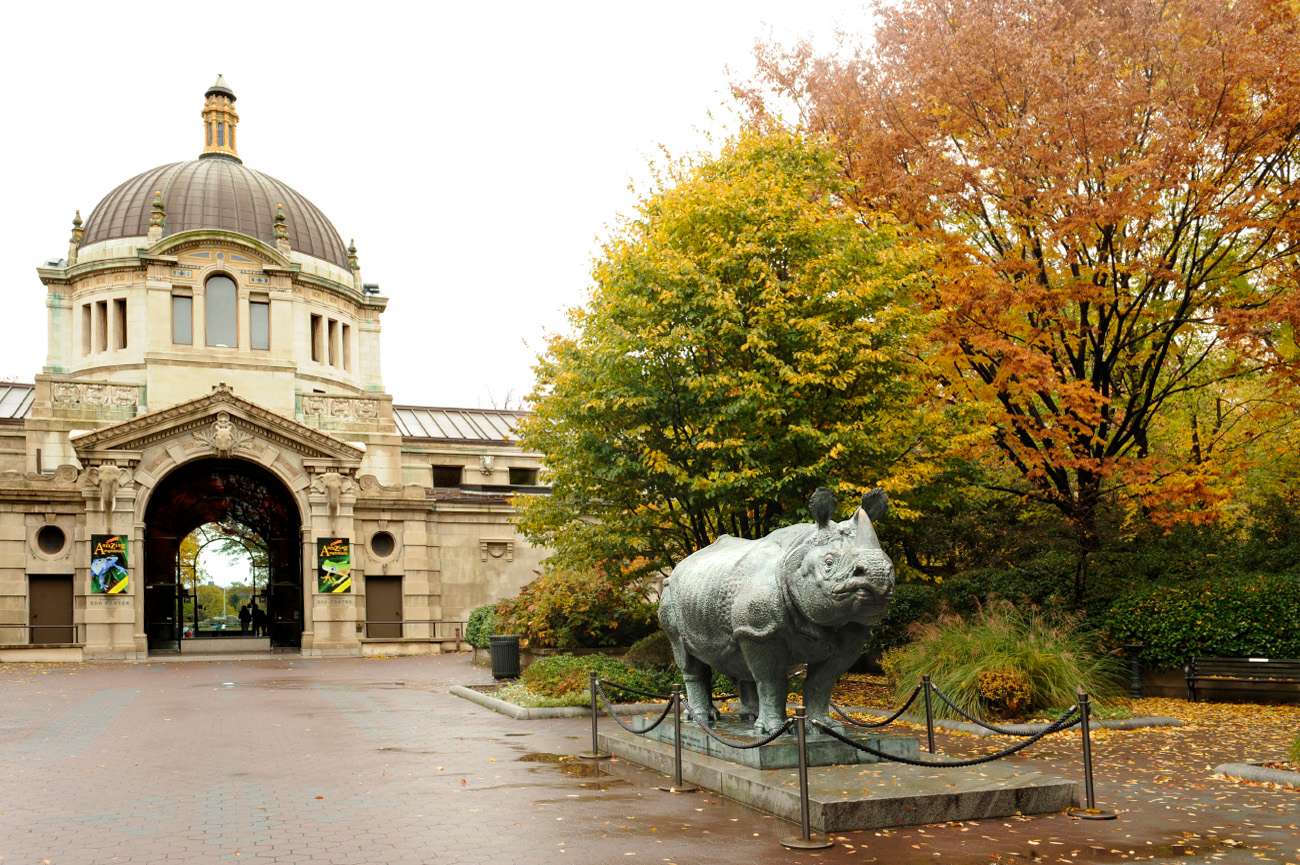 Bronx Zoo Tickets Image