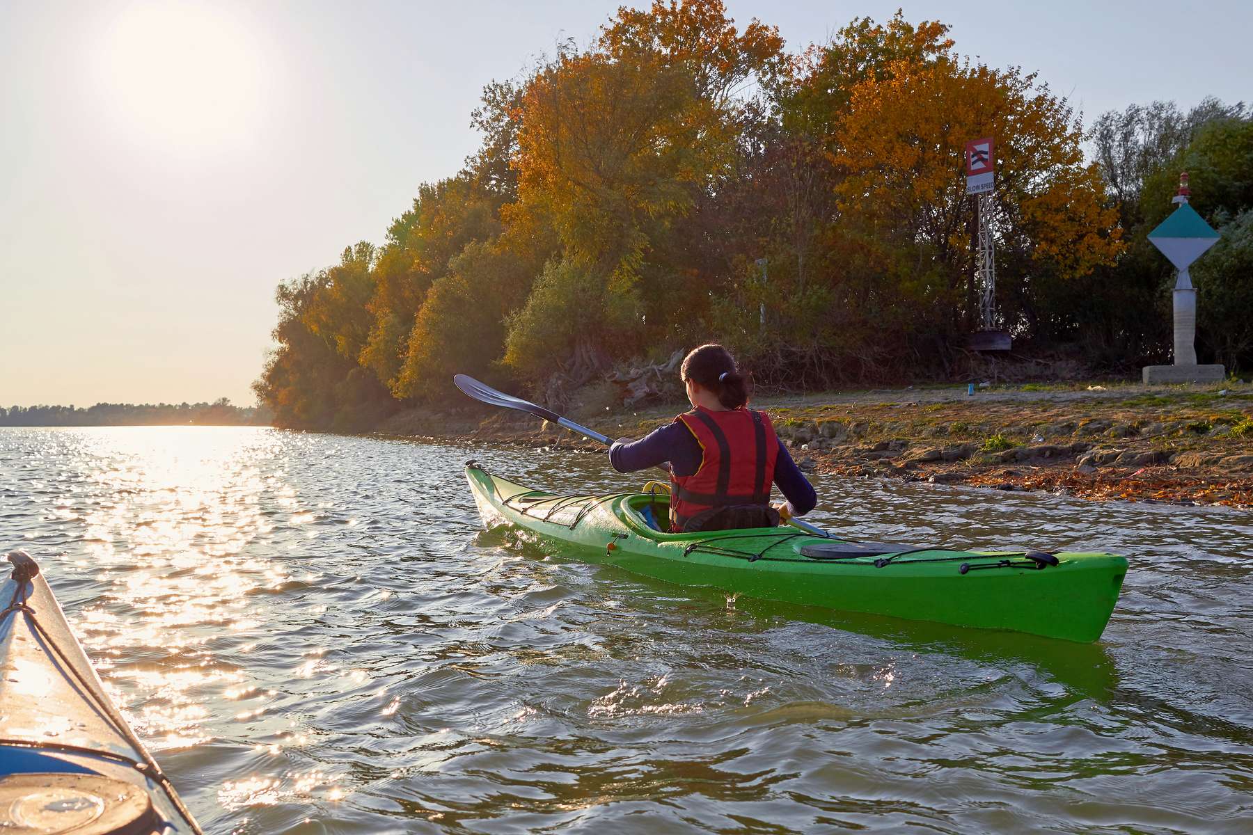 Mangrove Kayaking in Singapore Image