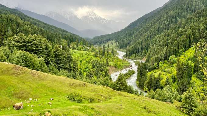 Scenic Valleys of Aru Valley, Pahalgam