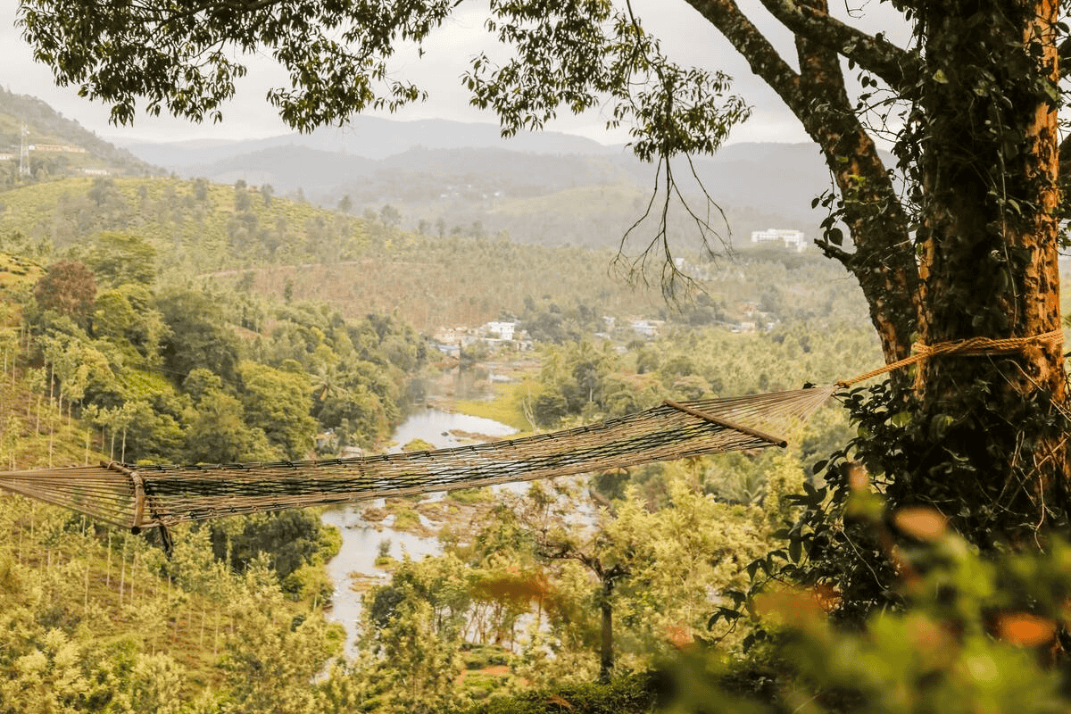 Tree House Stay in Thekkady Image