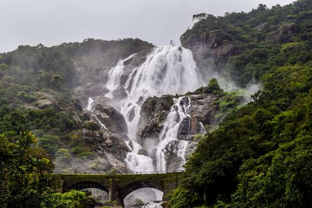 Hike through the forest to witness the graceful Dudhsagar Waterfalls on this tour to Goa
