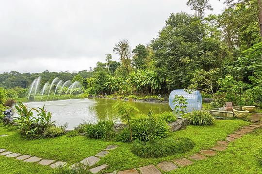 Windflower Resort Coorg Image