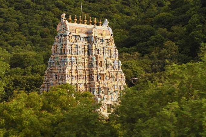 Nature & Spiritual Guided Walking Tour, Madurai