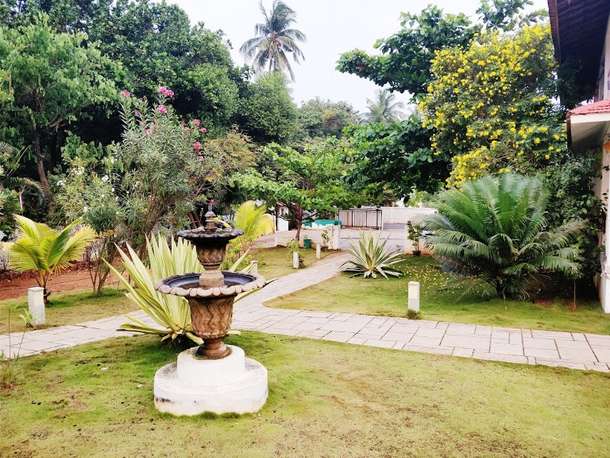 8t7w072i18tbt4umruvxsfhuqnka green%20nila