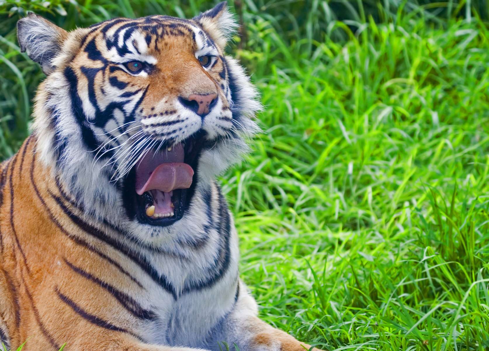 Lisbon Zoo Tickets Image