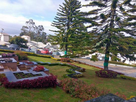 Sterling Ooty Fern Hill Image