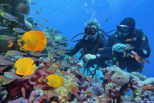 Scuba Diving In Dubai Image