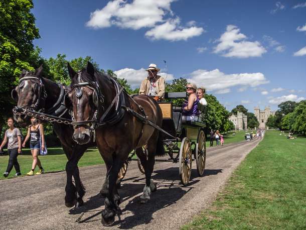Embark on Windsor Castle Horse Drawn Carriage Tour