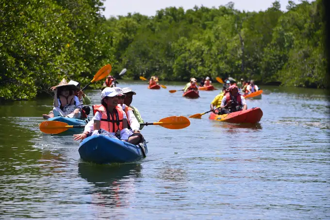 Glide through the serene waters of Pondicherry, embracing the calm as you kayak along the coast