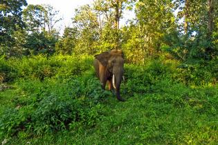 8vowcsd93x95hu377mgff3h0gwqc tholpetty1