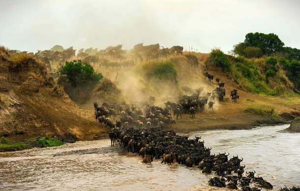 8w7nbo64ofzx47f6pe5ow4zhxsuw dl.beatsnoop.com 3000 veg5vfxiyu%20(1)