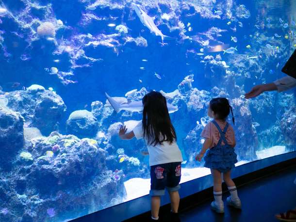 8xm954arcv1p7j1hzudxaouhquct 1591797770 shutterstock 1500388478