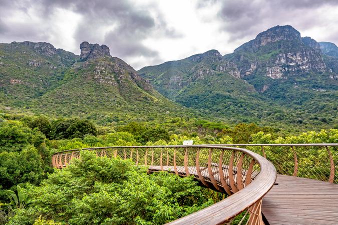 Kirstenbosch National Botanical Gardens
