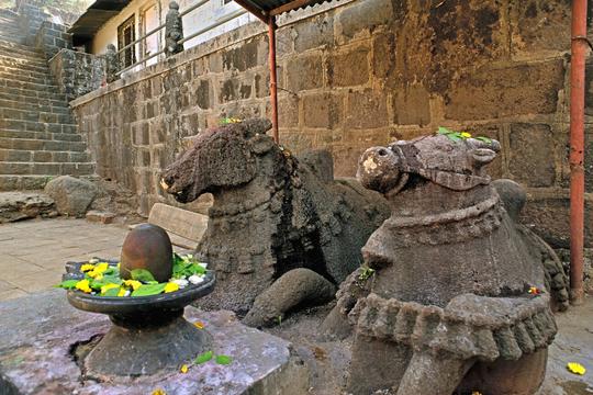 One Day Trip to Bhimashankar from Pune Image