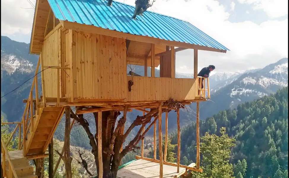 Jibhi Tree House Image