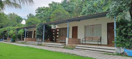 Flame Of The Forest Image