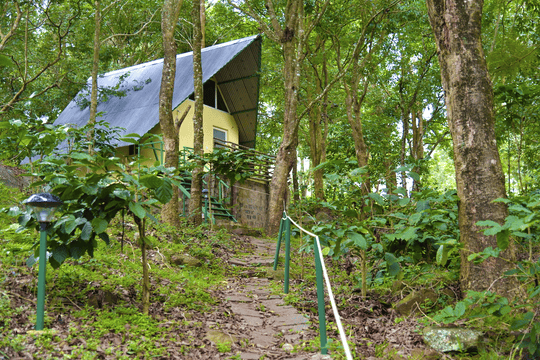 A Wooden Cottage Stay Nested In The Woods Near Mysore Image