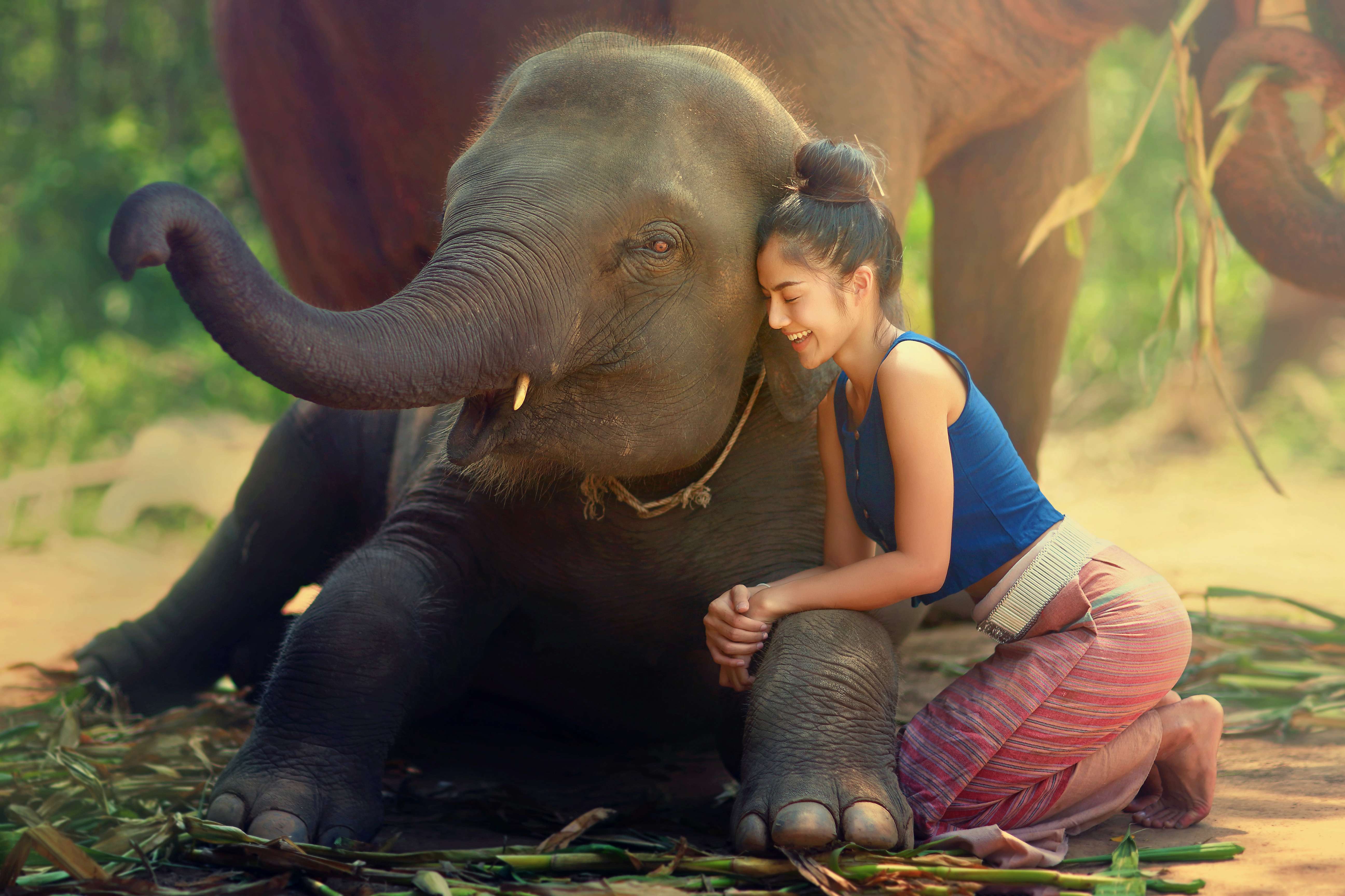 White Water Rafting And Elephant Safari With Mountain Cycling Bali