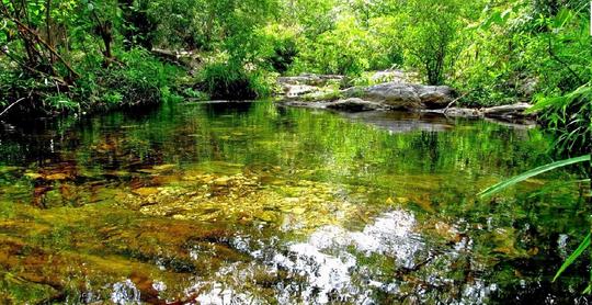 Nagalapuram Camping Experience With Waterfall Trek Image